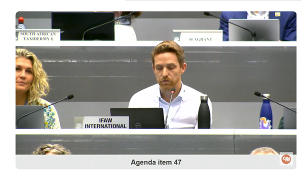 <a href="/EU_ENV/">EU Environment</a> <a href="/HighSeasAllianc/">High Seas Alliance</a> <a href="/ifawglobal/">ifaw</a> <a href="/NRDC/">NRDC 🌎🏡</a> Matthew Collis <a href="/ifawglobal/">ifaw</a> on behalf of 11 observer organisations, including <a href="/HighSeasAllianc/">High Seas Alliance</a> members highlights historical achievment represented by the #BBNJ #HighSeasTreaty, echoes <a href="/antonioguterres/">António Guterres</a> in urging countries to sign and ratify the new agreement as soon as possible.