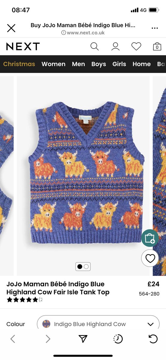 julietgarcia22's tweet photo. the bane of my life rn is that this highland cow sweater vest does not come in adult sizes… I dream of her, I long for her https://t.co/M1hMUS2Ii5
