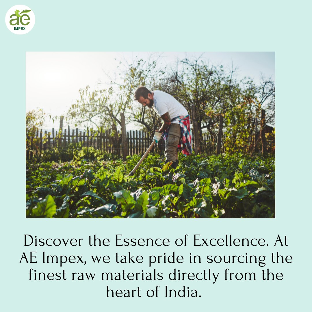 Join us on a journey of flavor, quality, and sustainability. Elevate your business with AE Impex. 🌾🧡

#SourcingExcellence #Pure #FarmToFork #RawMaterials #Quality #QualityMatters 
#SustainableSourcing #FlavorfulJourney
#ExquisiteIngredients #AE #BulkSupplier  #AEImpex