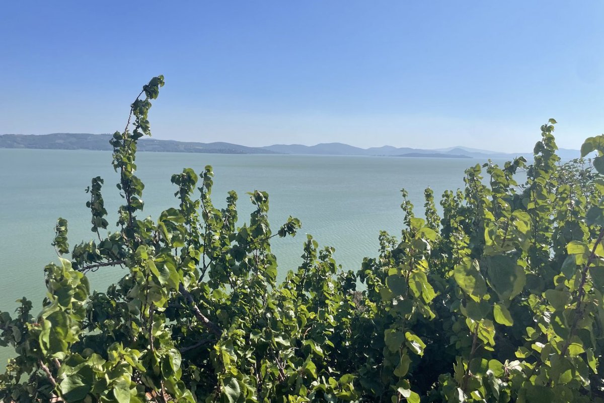 ApolloniInfo's tweet photo. La Casa romantica a Passignano sul Trasimeno, Perugia – Umbria • PAS2805

🔗 Scopri l'immobile: https://t.co/uPgiZsShYD https://t.co/CrLMNdHyPB