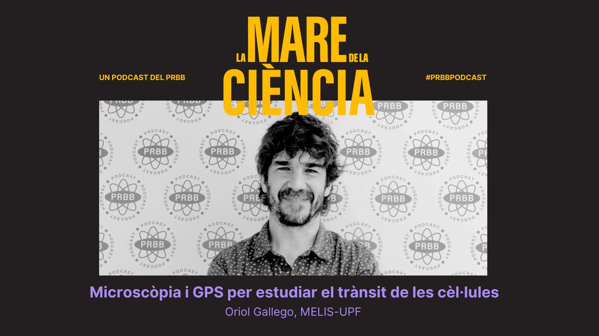 the_prbb's tweet photo. 💥 Últim episodi de la T3 de #LMDLC ja disponible! 💥
L'Oriol Gallego (@GallegoLab, @upfbiomed) combina diferents tècniques de microscòpia per poder veure l'interior de les cèl·lules molt detalladament. 🔬
🎧 Posa't els auriculars i escolta'l!
https://t.co/HFLLjV8W9A https://t.co/phyaVqYRaQ