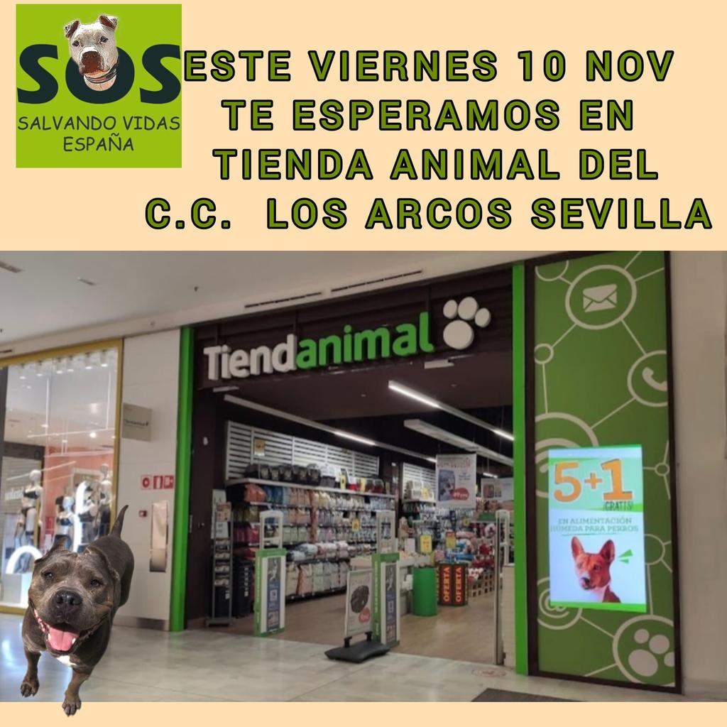 Familia, os esperamos mañana #10noviembre en @tiendanimal de #Sevilla .  😊😊😊😊😊
