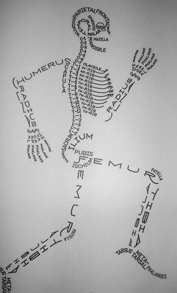 Skeletter!

Useful visual tool for learning bone locations!