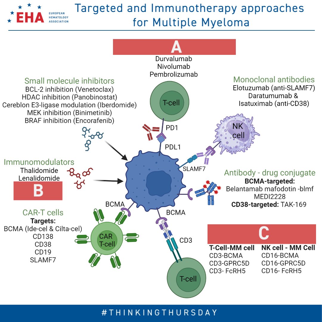 Welcome to EHA #ThinkingThursday. Today's clinical schema focuses on #MultipleMyeloma #MMSM #immunotherapy and #targetedtherapies. Can you fill in A, B and C?

Interested in #MultipleMyeloma? Learn more in our extensive programme in the #EHACampus: ehaedu.org/MM_Program