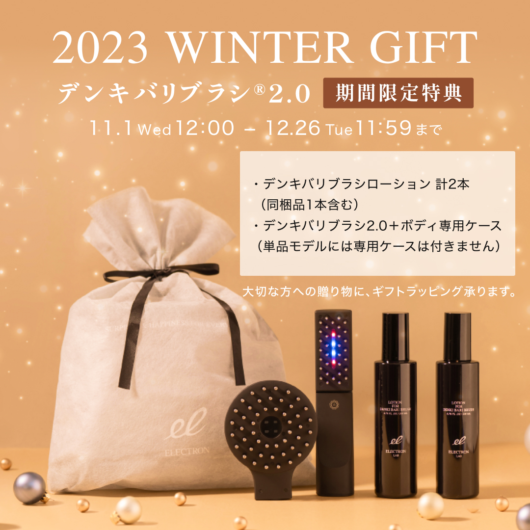 エレクトロン】電気バリブラシ 箱・ケース・専用ローション付き デンキ