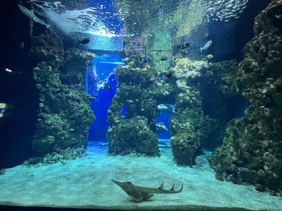 Fabien Cousteau tweet media