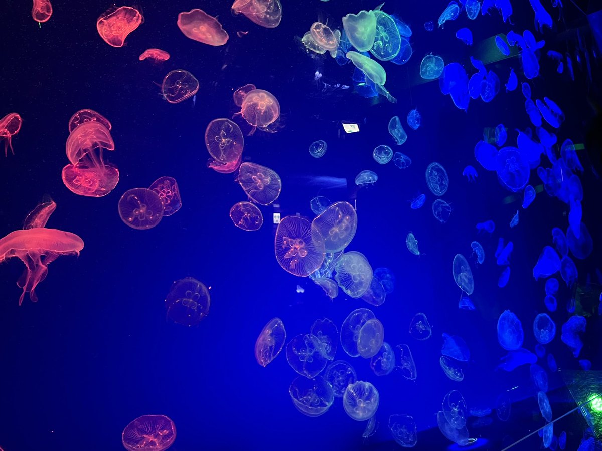 色々行ってきました！