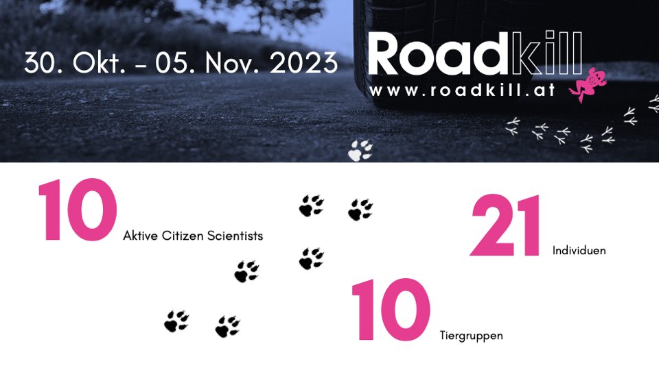 Wieviele überfahrene Tiere vergangene Woche in unserem #citizenscience Projekt gemeldet wurden, könnt ihr hier sehen.  Welche genau, findet ihr auf der Projektseite: roadkill.at/erfolge/woeche…