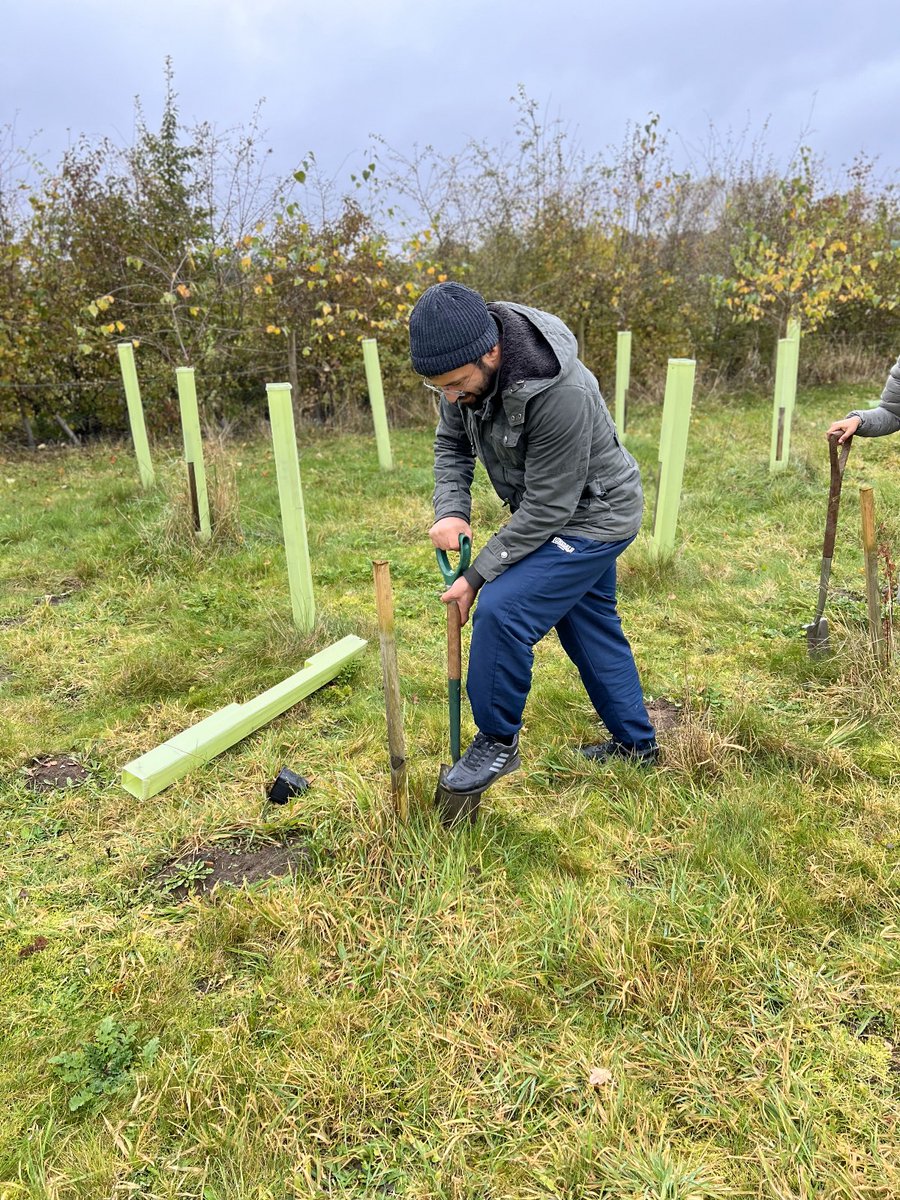 Dialogue Society Hull branch, in collaboration with the charity Mires Beck Nursery, is making a positive impact on our environment by planting trees. 🌳 Let's work together to nurture our planet! #GreenInitiative #TreePlanting #EnvironmentalSustainability @MiresBeck