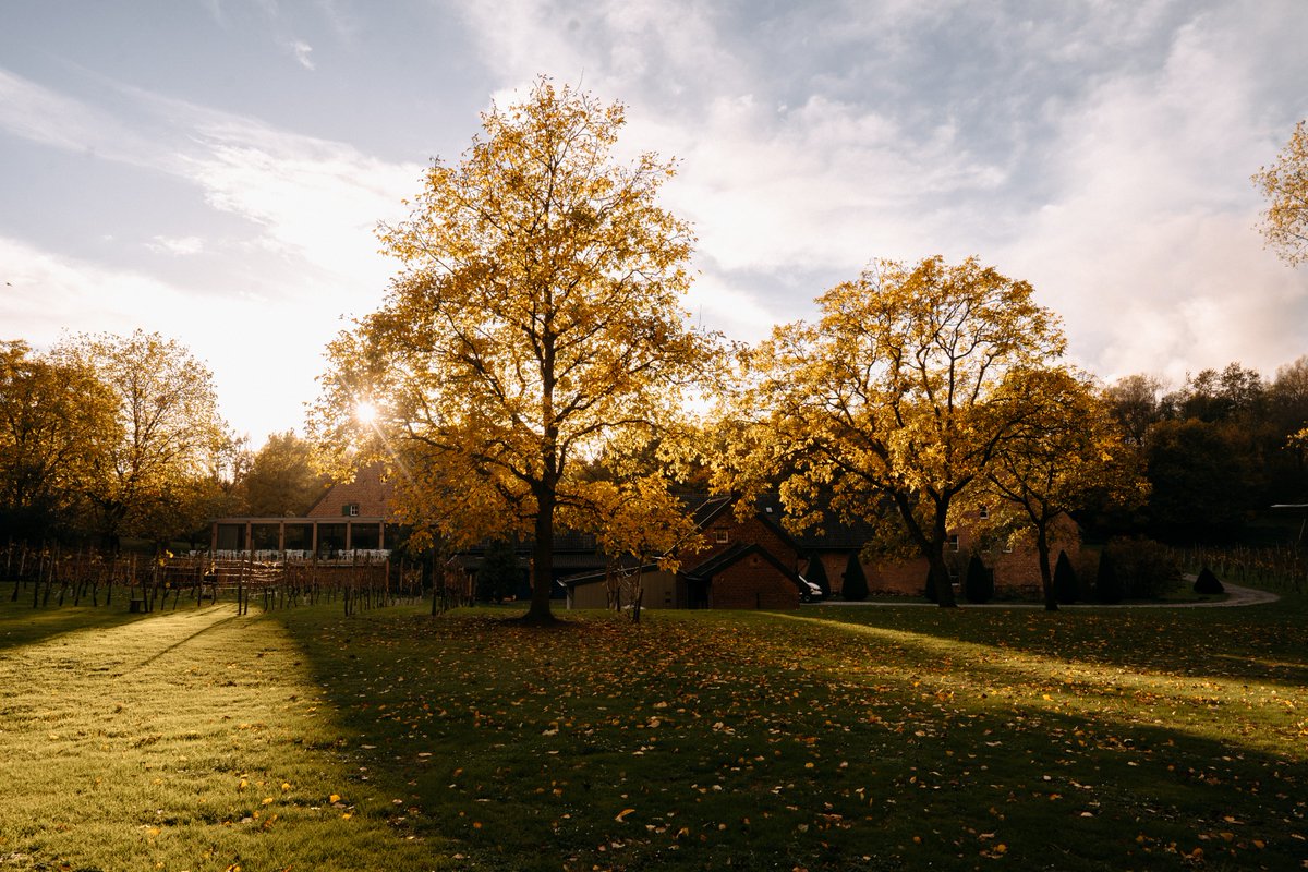 Autumn beauty around Winselerhof. 

Stroll through the colourful nature all around us, bathed in the golden glow of the autumn sun.