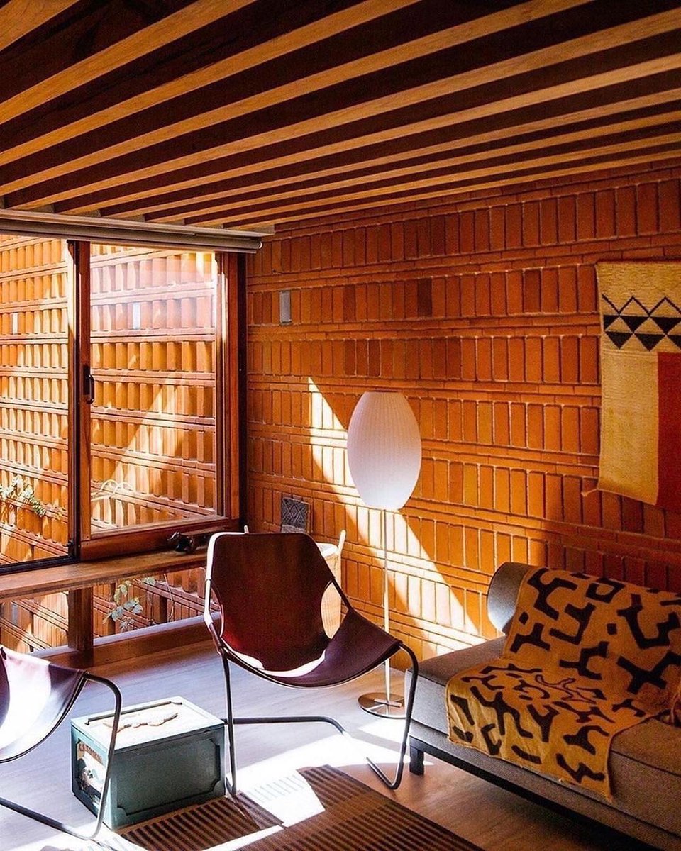 derek guy tweet media