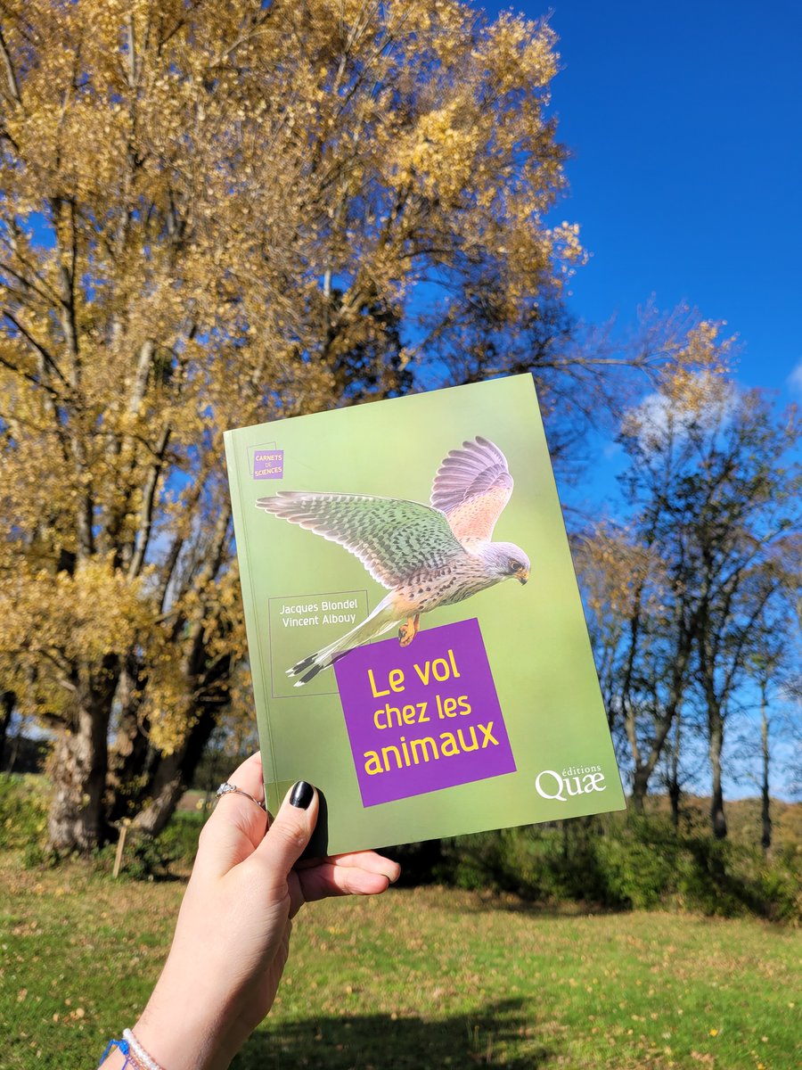 editionsquae's tweet photo. #VendrediLecture 🦋 | Cet ouvrage nous dévoile les mystères du vol chez les animaux et en révèle toute la complexité. 

👉 « Le vol chez les animaux », Vincent Albouy, Jacques Blondel

#lecture #editionscientifique #editionsquae 

@Opie_insectes  @CNRS https://t.co/er6CiXsGjz