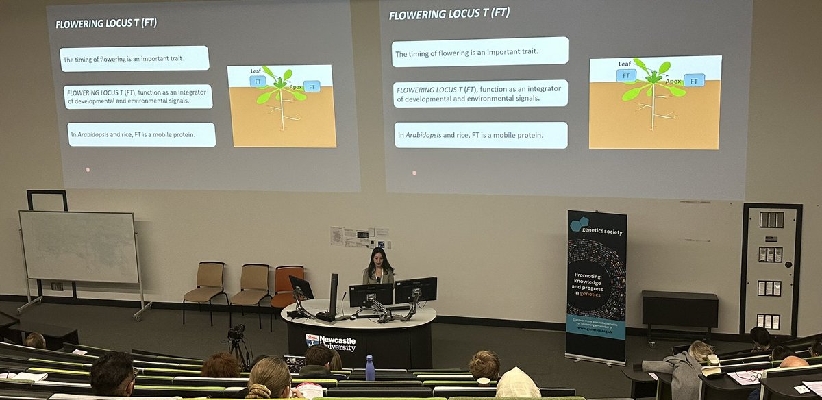 Amazing talk by <a href="/yanjie_song/">Davina Song</a> on wheat FTs #GeneticsFoodRevolution