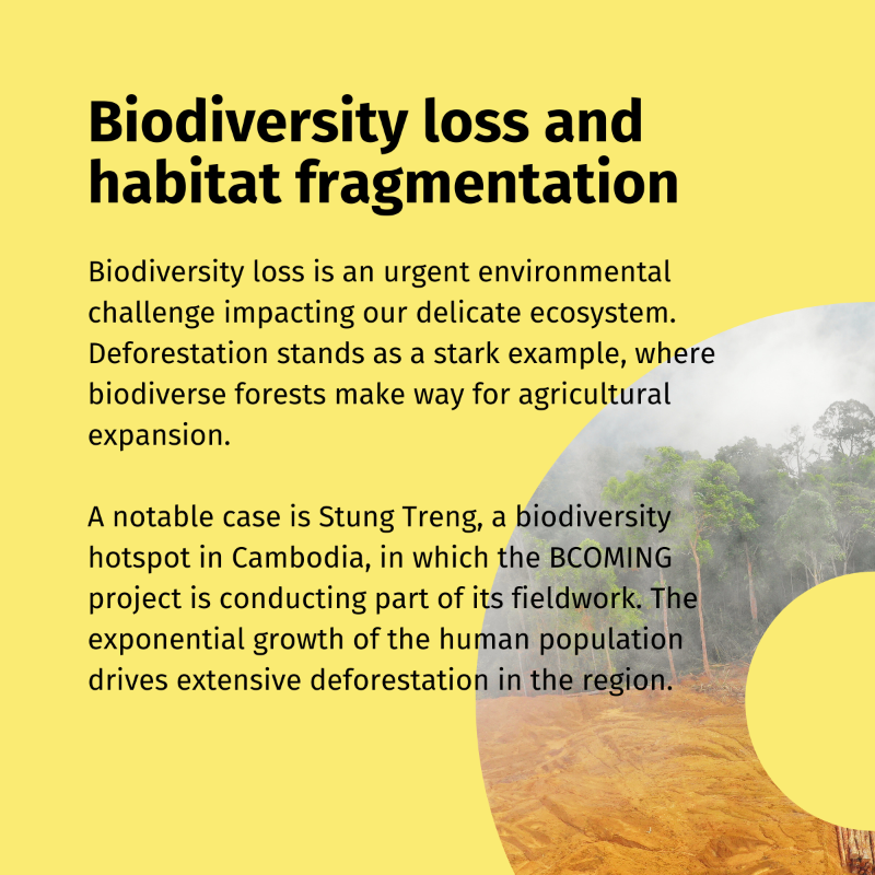 BcomingEU's tweet photo. ✨ Let's keep #ExploringBCOMING 🌿

1️⃣ The importance of #BiodiversityLoss
2️⃣ Biodiversity loss and habitat fragmentation
3️⃣ Proximity of Humans and #Bats: A Concern
4️⃣ A #Sustainable Coexistence

Let's work together for a sustainable coexistence with our natural world! 🌍💚
