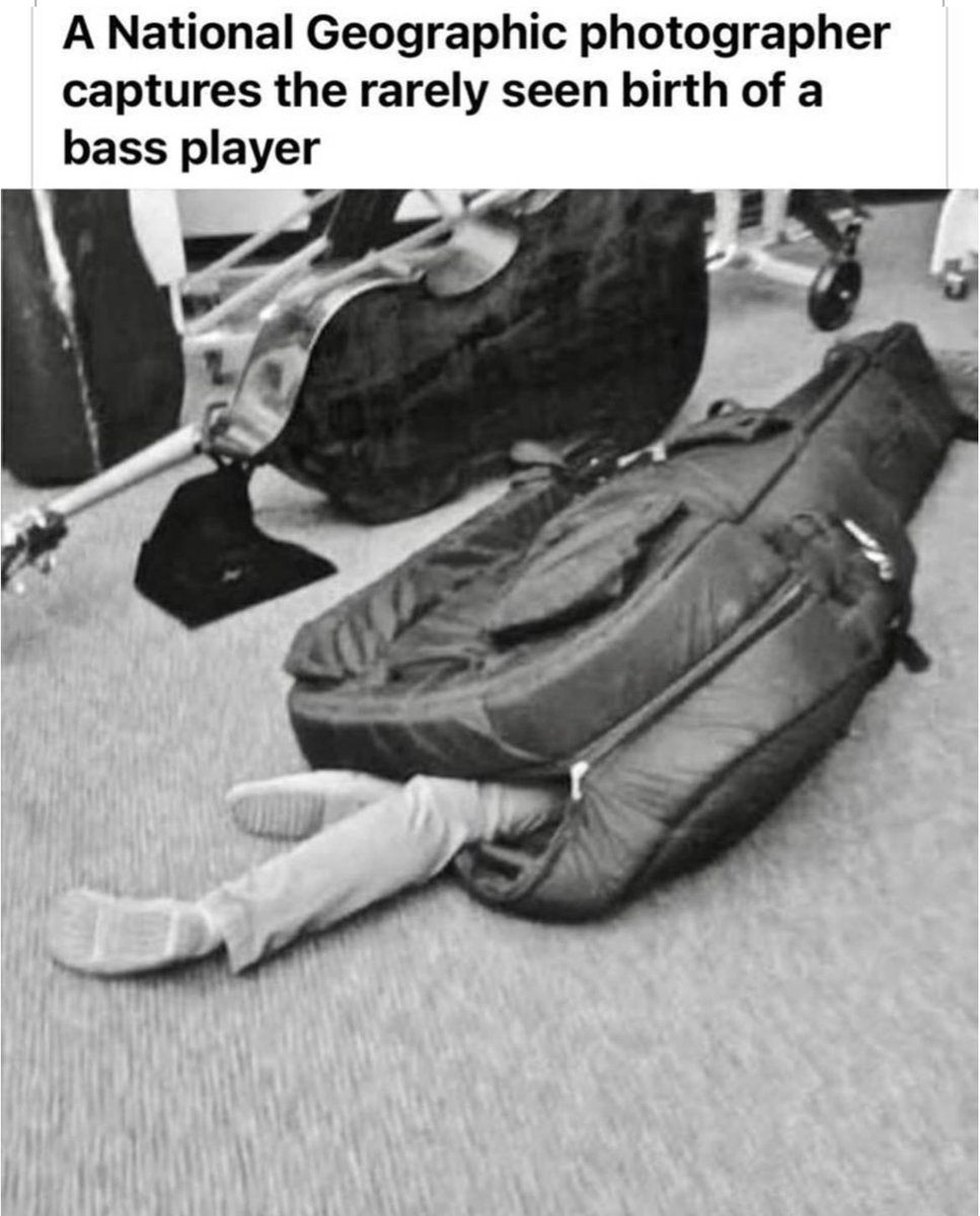 #music #musician #bass #bassplayer #bassplayers #bassplayersunited #orchestra #orchestramemes #orchestralife #humor #humorous #humorousmemes