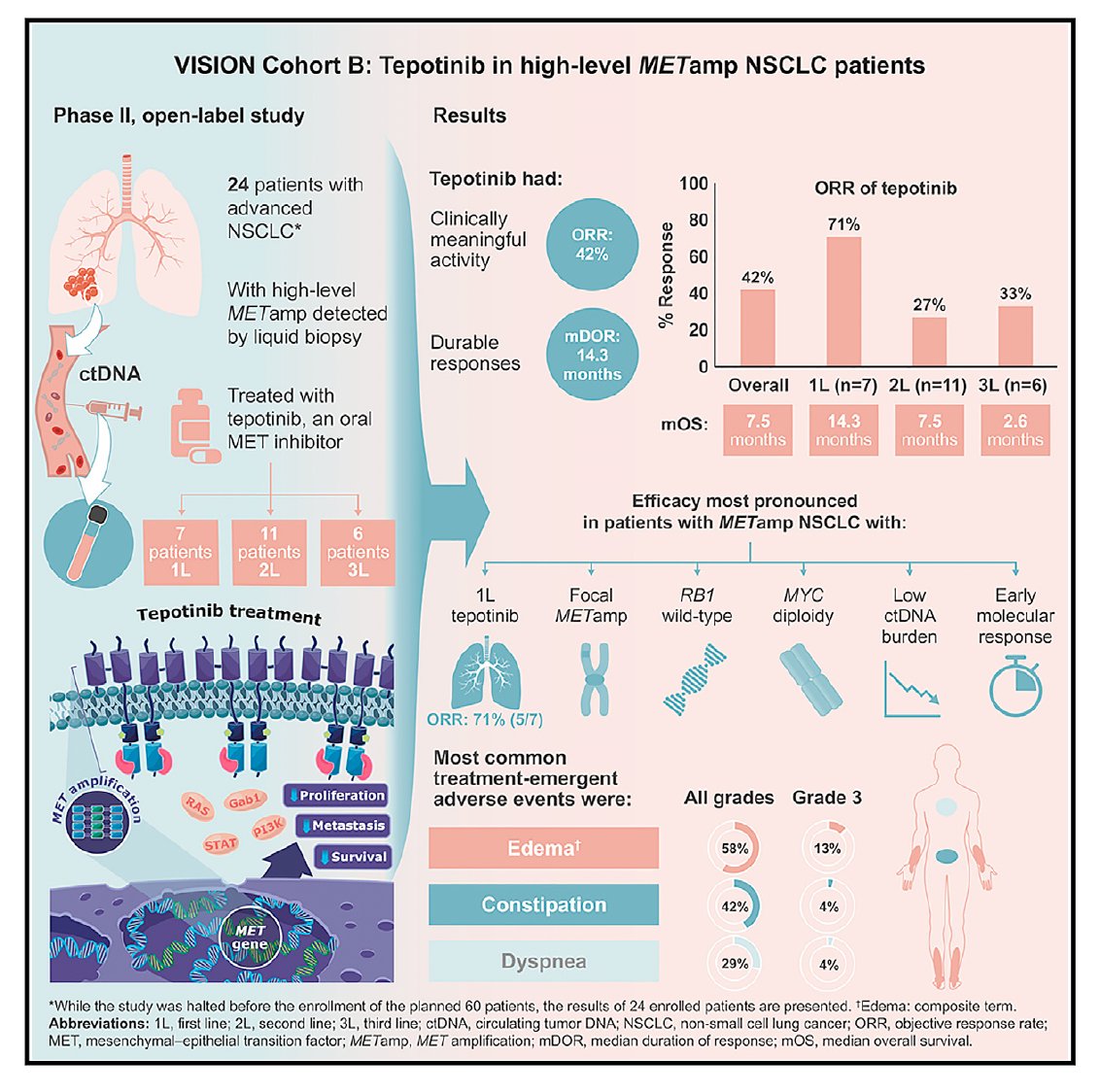 Our paper is available on line now: Tepotinib in patients with NSCLC with high-level MET amplification detected by liquid biopsy: ORR 42% DoR 14.3 months. @metcrusaders @MDAndersonNews @Exon20Group VISION Cohort B: Cell Reports Medicine cell.com/cell-reports-m…