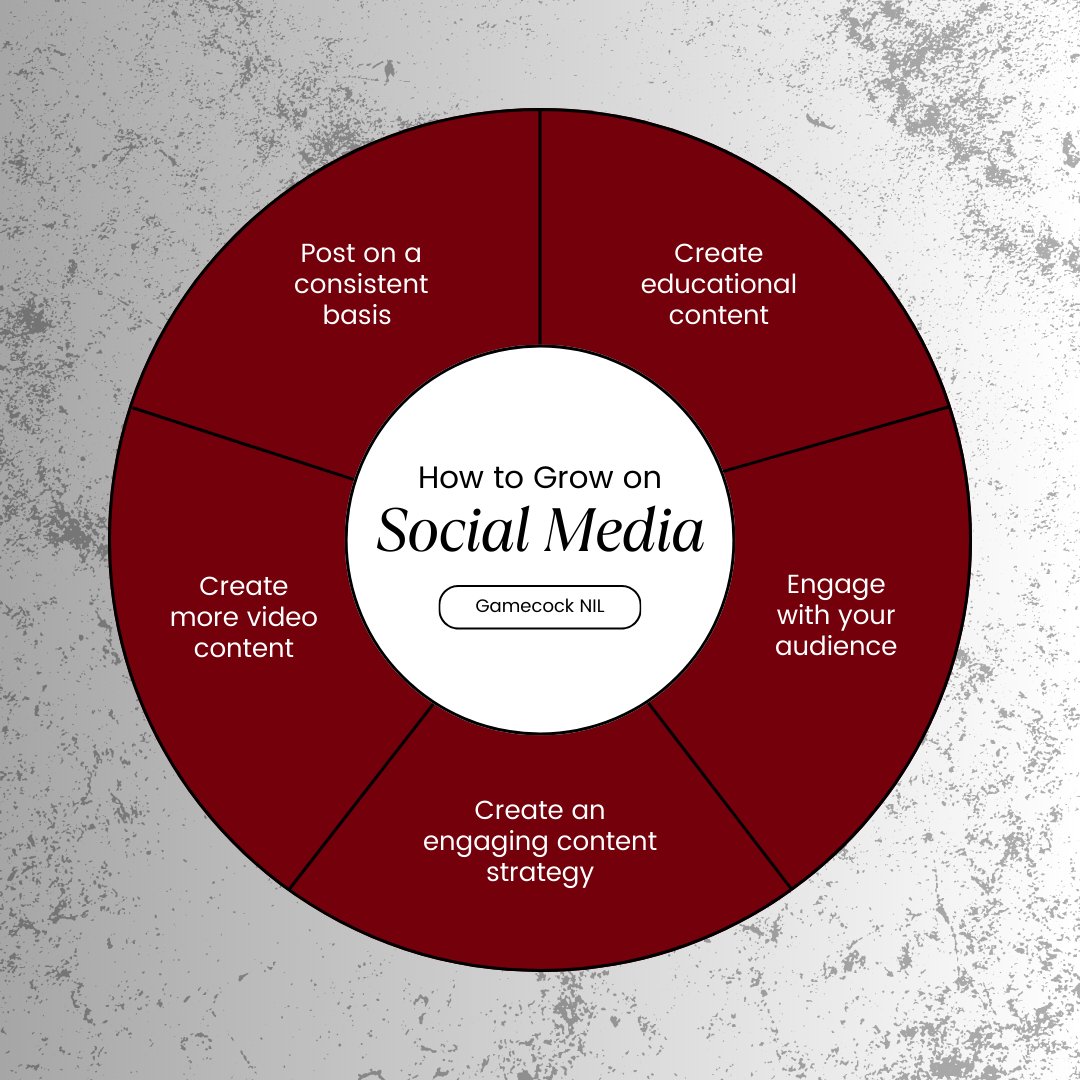 University of South Carolina NIL tweet media