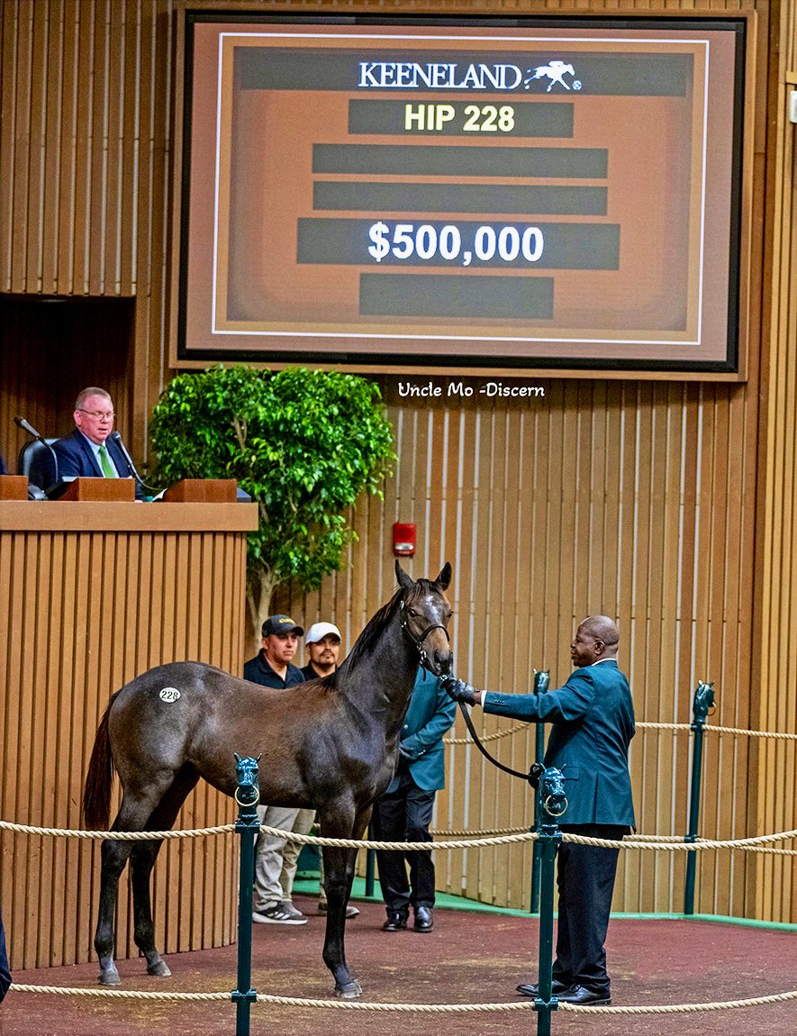 Very thankful, as always, to the dedicated horsemen at @HillnDaleFarm. Raising a good horse is as much art as it is science and John Sikura and his team do it so incredibly well. Wishing all the best to the buyers of our 23 Uncle Mo - Discern colt. ⭐️⭐️⭐️ @coolmoreamerica