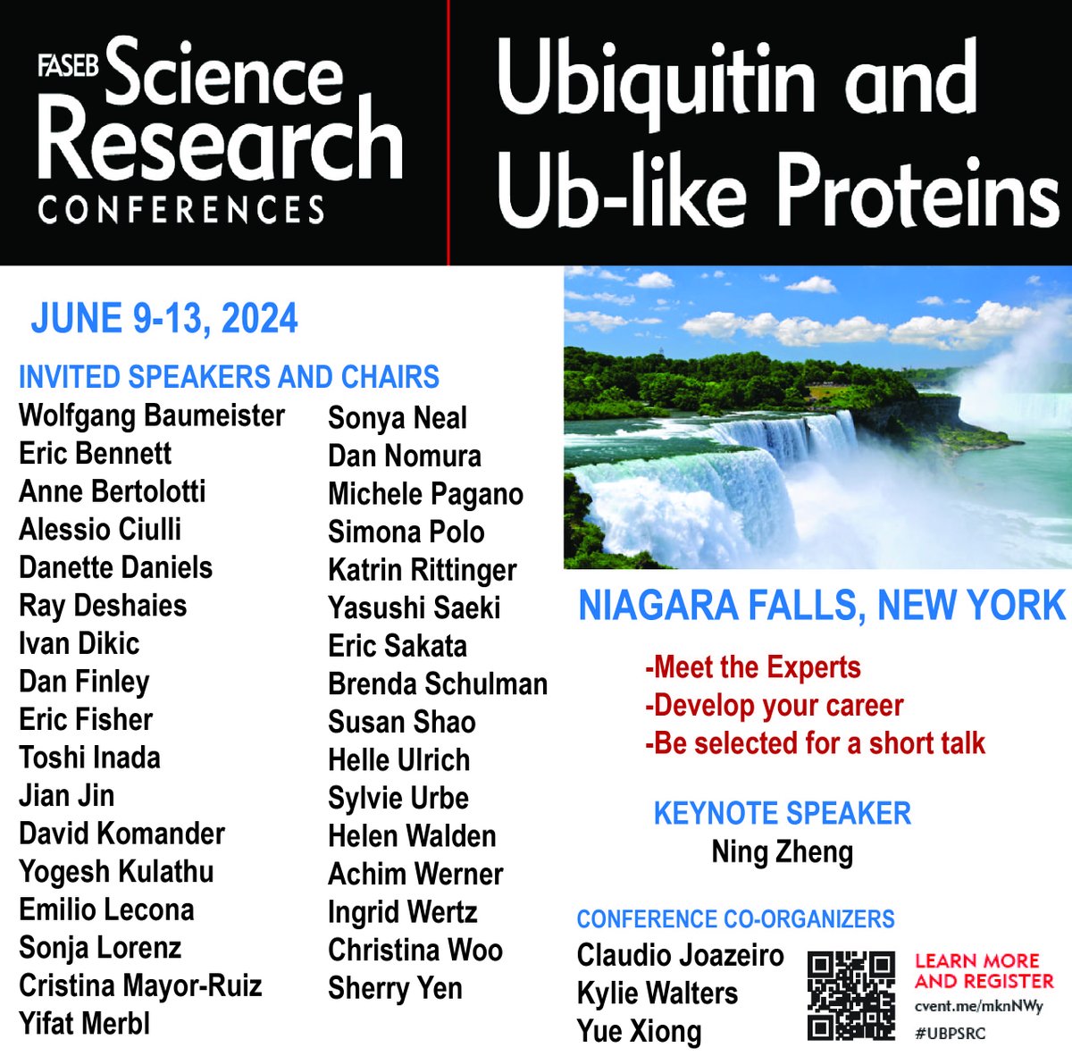 Please join us this summer as the power of Ubiquitin Signaling converges with the power of Niagara Falls for @FASEBorg #UBPSRC. We value DEIA, are raising $ for travel awards, have fantastic speakers and are excited to select new speakers from abstracts. @LabJoazeiro