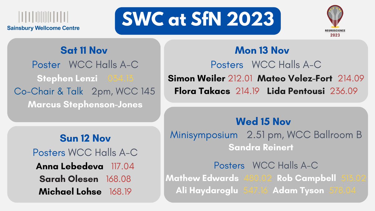 SWC (@swc_neuro) on Twitter photo Will you be at #SfN23? Stop by our posters and talks! Stay tuned for more details 👀 <a href="/SfNtweets/">Society for Neuroscience (SfN)</a> Will you be at #SfN23? Stop by our posters and talks! Stay tuned for more details 👀 <a href="/SfNtweets/">Society for Neuroscience (SfN)</a>