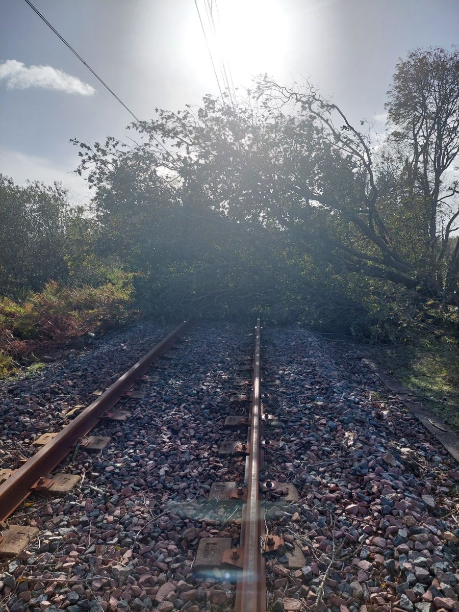 Encore merci 🙏 aux équipes <a href="/SNCFReseau/">SNCF Réseau</a>  qui ont travaillé d'arrache pied 💪depuis dimanche pour évacuer tous les arbres dans des conditions difficiles ⛈️et rouvrir rapidement cette ligne. Bravo ! 👏