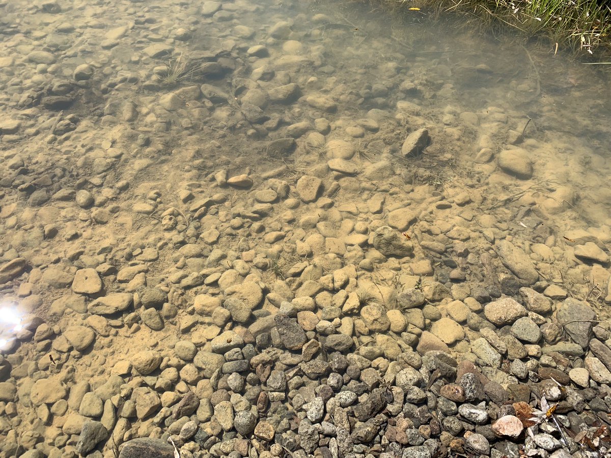 The cause of contamination that makes Lincoln Creek uninhabitable to fish is naturally occurring and not the result of mine drainage, according to an EPA report.

Increasing metals concentrations may be due to climate change

aspenjournalism.org/epa-report-say…