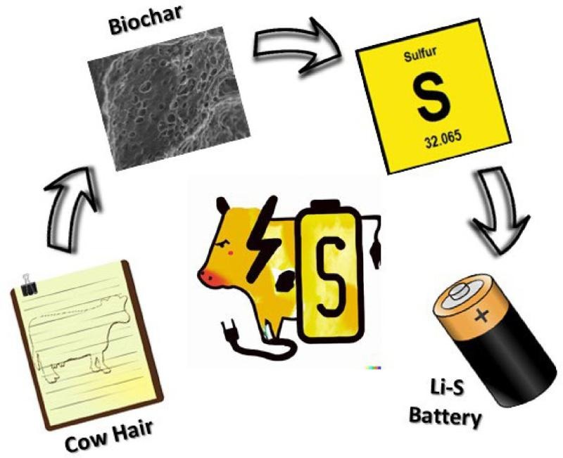 Vicky Bracamonte (@vicbracamonte) on Twitter photo In this work a new cathode active material for lithium-sulfur batteries based on cow-hair biochar is produced from leather industry residue.
…mistry-europe.onlinelibrary.wiley.com/doi/10.1002/sl…
#battery #biochar #sulfur <a href="/LaESCordoba/">LaES Group</a> In this work a new cathode active material for lithium-sulfur batteries based on cow-hair biochar is produced from leather industry residue.
…mistry-europe.onlinelibrary.wiley.com/doi/10.1002/sl…
#battery #biochar #sulfur <a href="/LaESCordoba/">LaES Group</a>