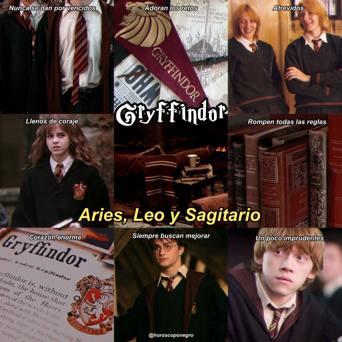 horoscoponegro's tweet image. ¿Qué casa de Hogwarts eres según tu signo del Zodiaco? 🔮✨