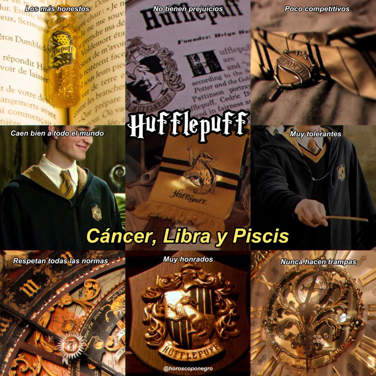 horoscoponegro's tweet image. ¿Qué casa de Hogwarts eres según tu signo del Zodiaco? 🔮✨
