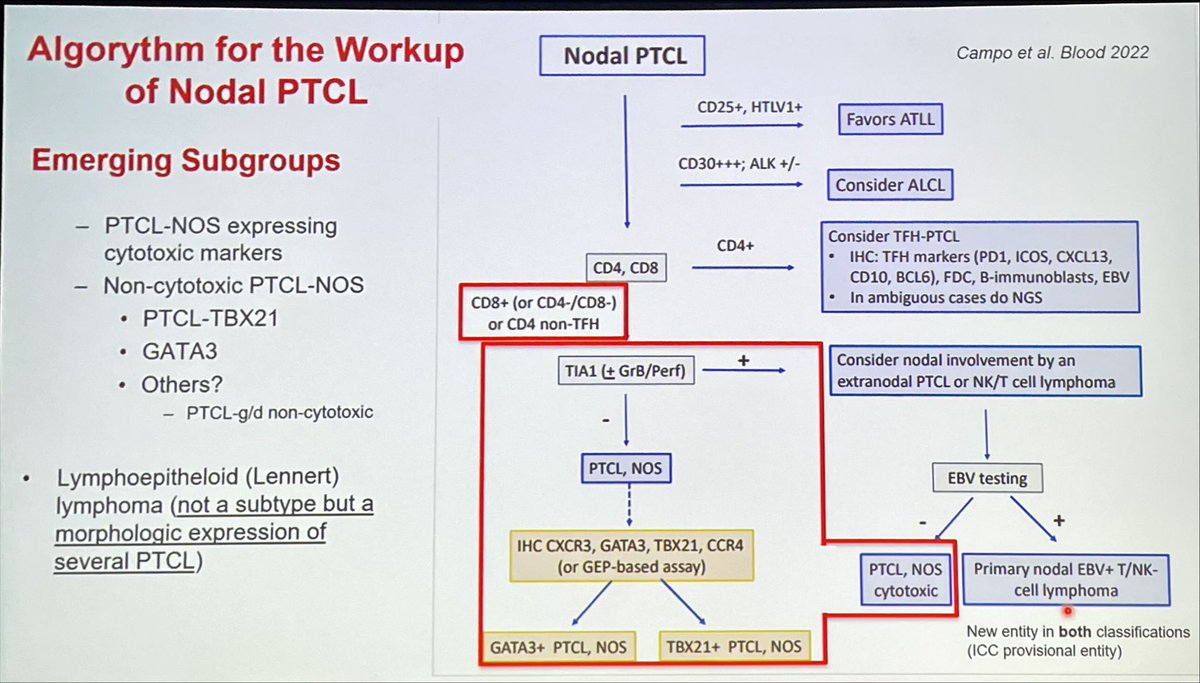 . @FVega957 opening the #SH23 workshop this morning. Practical algorithm for classification of peripheral T cell lymphomas #PTCL #lymsm May be easier said than done 😉 #SH23