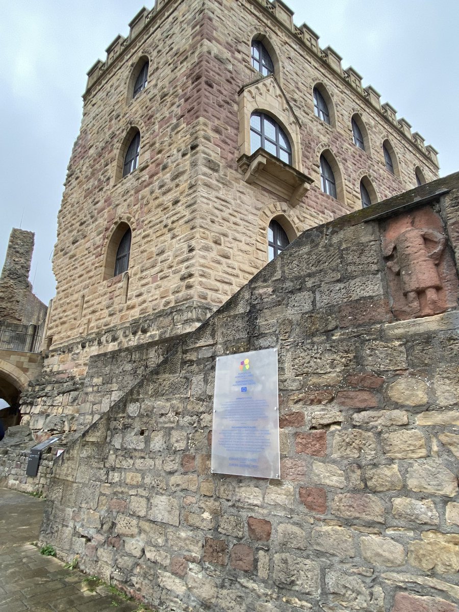 Sandra Engels tweet media