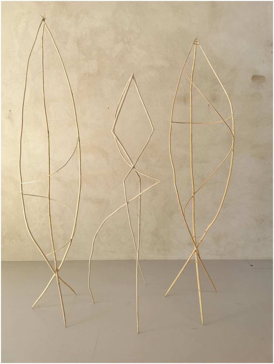 Matthew Quentin tweet media