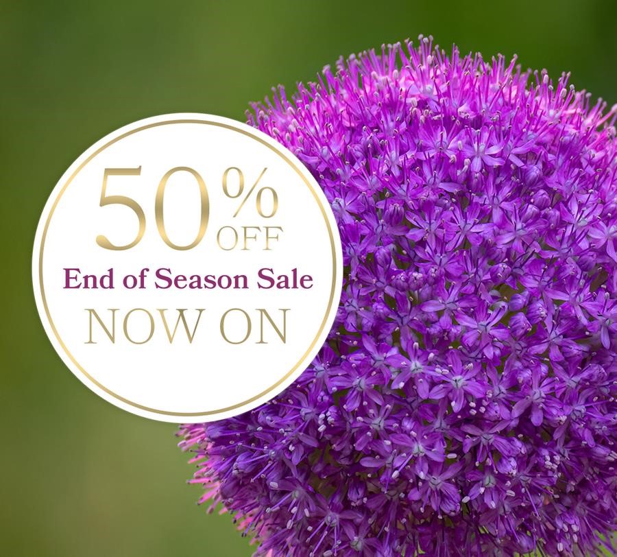 At last, and whilst stock last,  de Jager's End of Year Sale. Use Code DJ23OFFER at the Checkout for 50% off.

dejager.co.uk