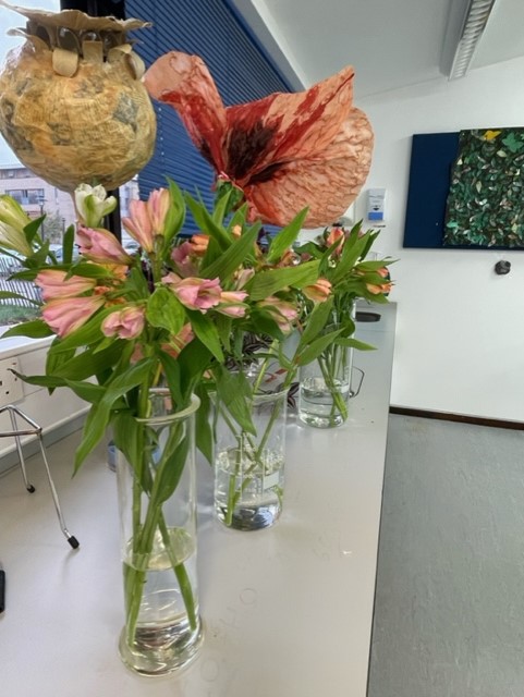 SAPS_News's tweet image. Today we have welcomed Tutors of trainee biology teachers from across the UK to experience our #plantsci practicals & for us to learn how better to support their trainees. 🌱🔬
Can you guess the practicals we are covering? 🤔
#plantsci #practicalscience #Biology #TraintheTrainer