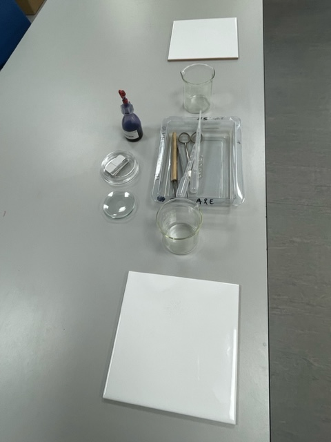 SAPS_News's tweet image. Today we have welcomed Tutors of trainee biology teachers from across the UK to experience our #plantsci practicals & for us to learn how better to support their trainees. 🌱🔬
Can you guess the practicals we are covering? 🤔
#plantsci #practicalscience #Biology #TraintheTrainer