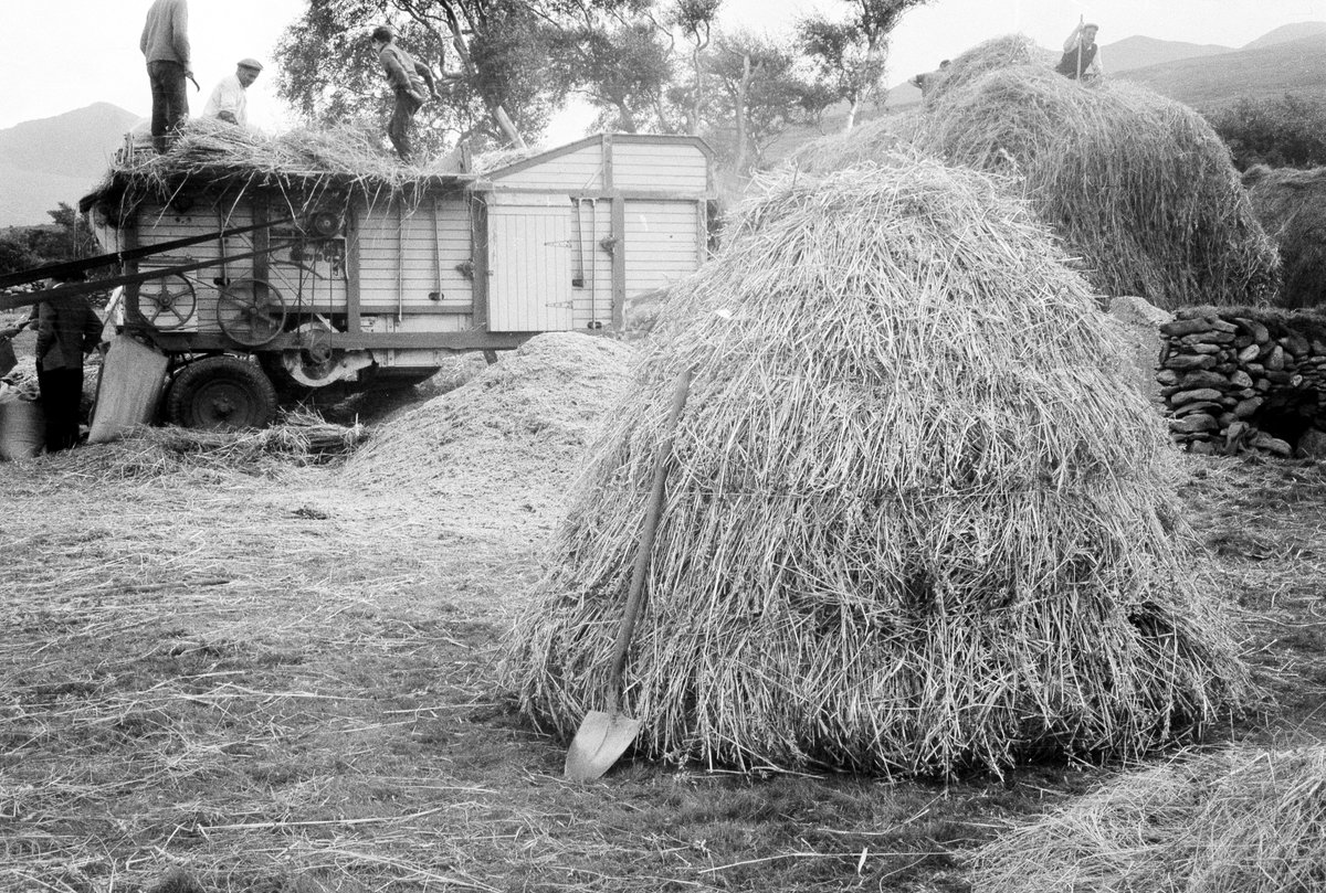 NMIreland's tweet image. Join Clodagh Doyle, Keeper, Irish Folklife Collection as we look to our inherited folk traditions &amp;amp; re-imagine the approaches to design in agriculture. @ 2.30pm 14th Nov. @TCDTangent part of @DCCIreland&apos;s #IrishDesignWeek2023
Book your place now dcci.ie/events/irish-d…