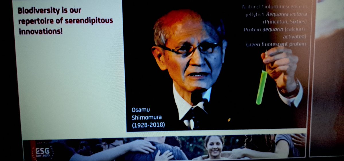 Chiara Buongiovanni tweet media