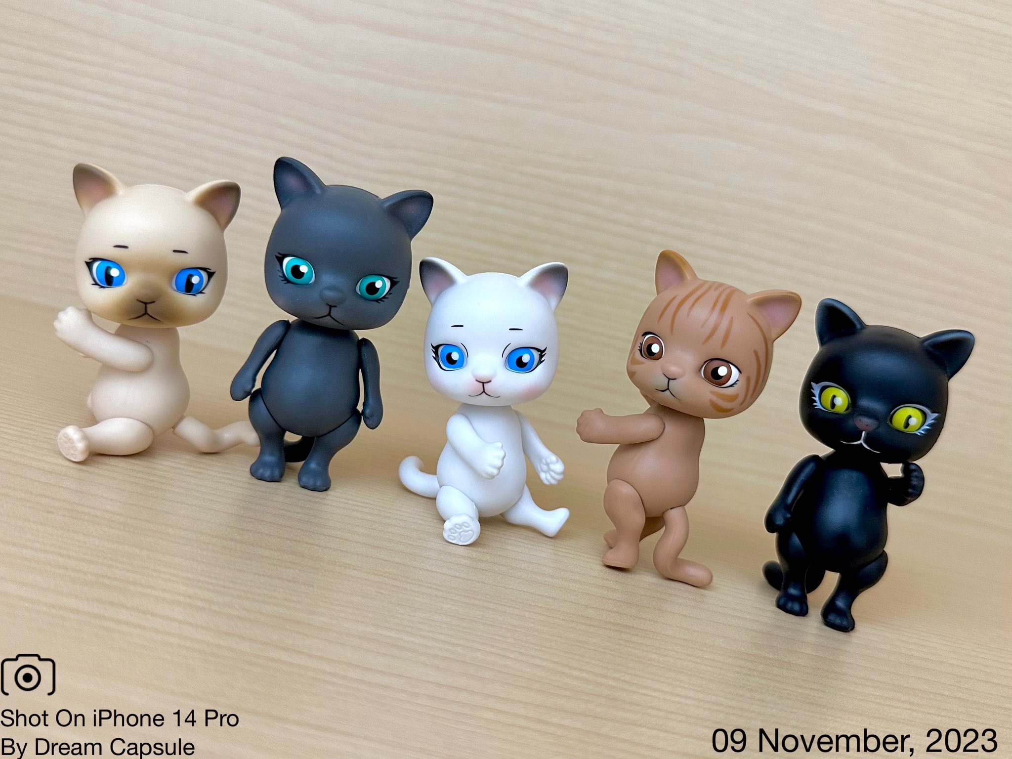 カプセルドール　カスタム　猫（黒白） カプセルドール 猫 カスタム カプセルドール ハンドメイド 猫