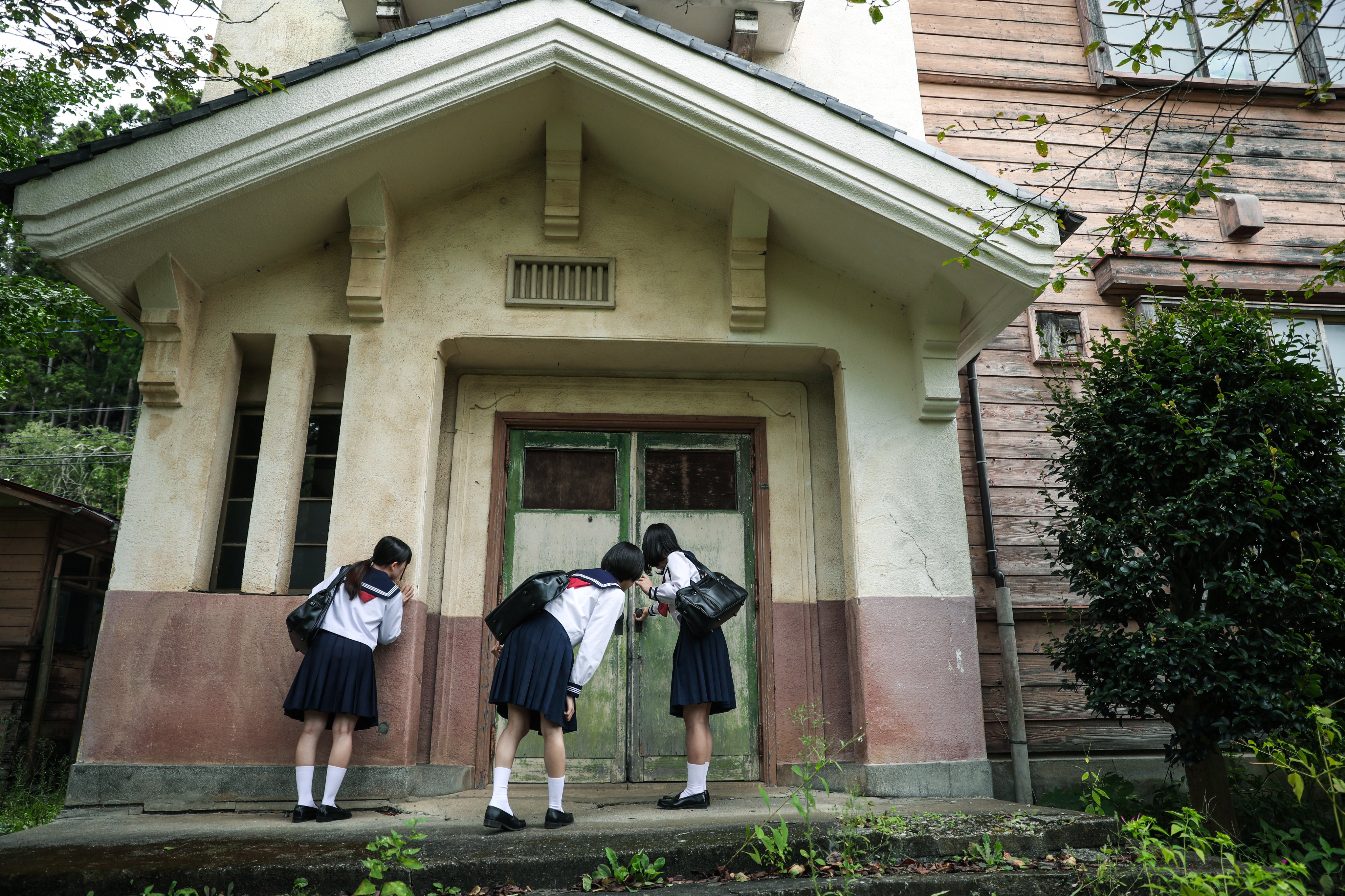 公式】長谷川工業 脚部伸縮2連はしご ブラック 3.8mタイプ