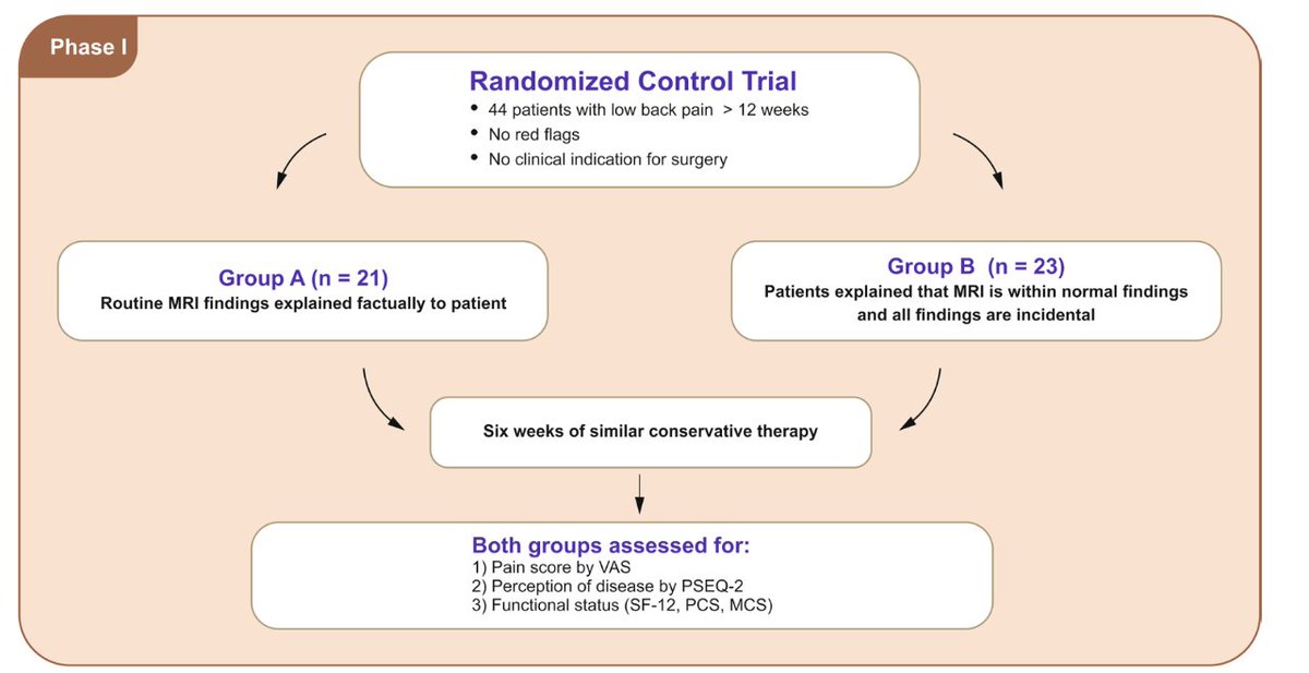 Thomas Dekkers | Spinal Specialist Physiotherapist tweet media