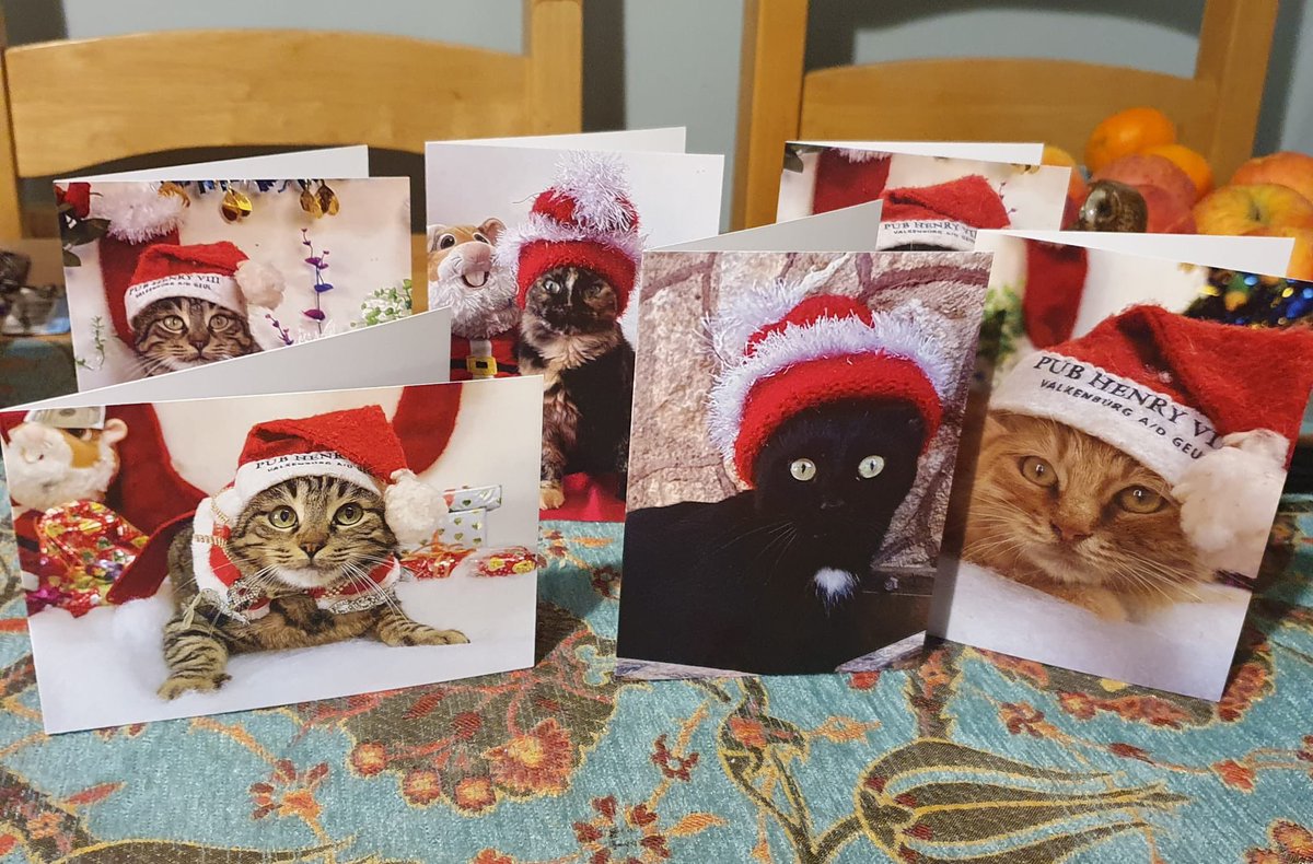 Do you want to make your Christmas greetings special? Buy a set of our greeting cards and maybe every wish will be granted. It doesn't cost anything to try...in fact it costs something but it's for charity. Very limited edition and quantities. ernestosanctuary.org/product/chrism…