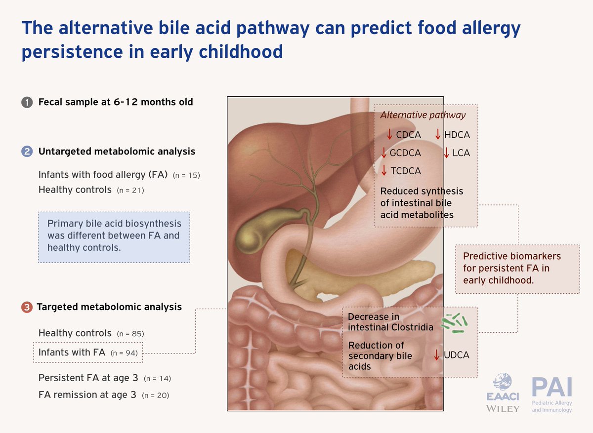 In the October Issue, there is a comment on “The alternative bile acid pathway can predict food allergy persistence in early childhood”.
🔗 onlinelibrary.wiley.com/doi/10.1111/pa…
#bileacid #foodallergy