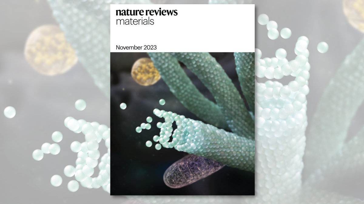🍃Our November issue 🍃nature.com/natrevmats/vol…
🩻In situ self-assembly for cancer therapy and imaging
🔁Charge transport &amp; hydrodynamics
🔴InP quantum dots
💡Phosphor for solid-state lighting
🩺Clinical translation of MOFs
+ In Briefs on quantum dots to celebrate the Nobel Prize!