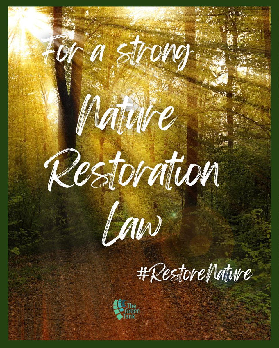 Today is our last chance 📣 for a strong #NatureRestorationLaw !! We expect @Europarl_EN, @EU_Commission & @EUCouncil to decide on a legal framework that will successfully bring back nature to our lives 🔗 bit.ly/49BUJqD #RestoreNature