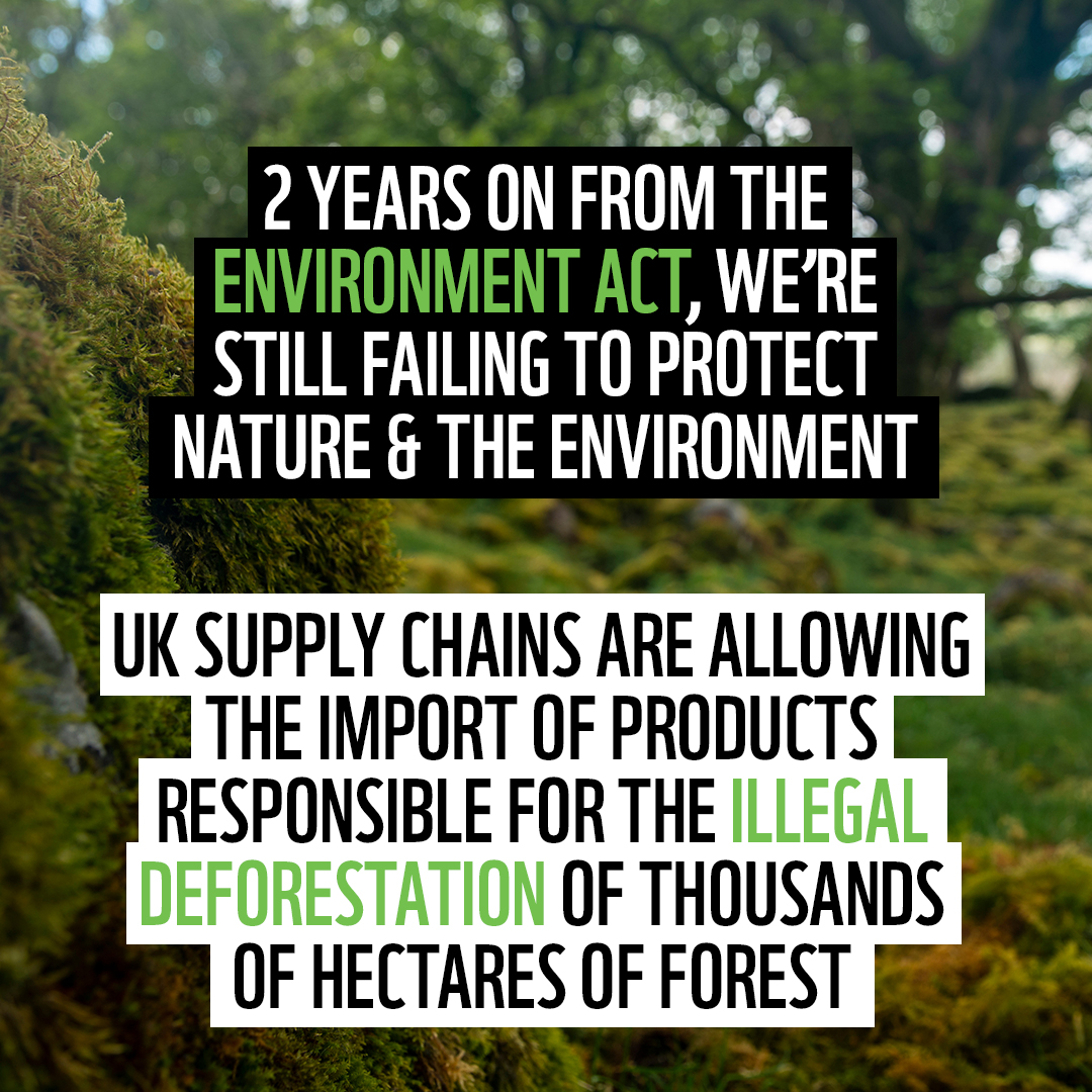 2 years ago today, the #EnvironmentAct achieved Royal Assent. 🎂

The Act promised 'world-leading' protections for nature & the environment, but our Government has failed to cut illegal deforestation from supply chains.

We don't need more promises. We need action #ForOurWorld.