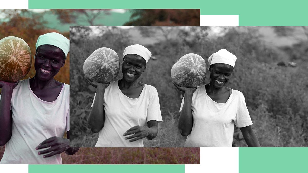 DID YOU KNOW THAT :70%  of the population of Zimbabwe are  smallholder farmers and women constitute the largest number.#WomenEmpowerment #OrganicFarmingAcademy #OFA #organic #agriculture #zimbabwe #zimagriculture #organicagriculture #zimfarming #zimagricrising @IFAD @FAO @WFP