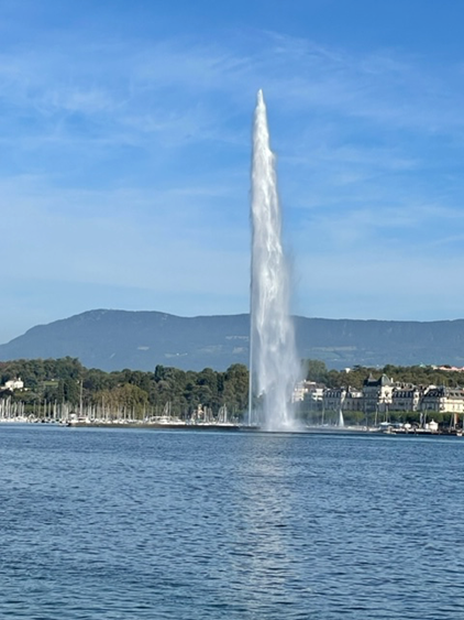 Thank You, Geneva!: By Mark EngsbergPresident, International Association of Law Libraries The 41st Annual Course of the International Association of Law Libraries (IALL) was held in Geneva, Switzerland from Sunday, October 8, to Wednesday, October 11. … dlvr.it/Sybvrc