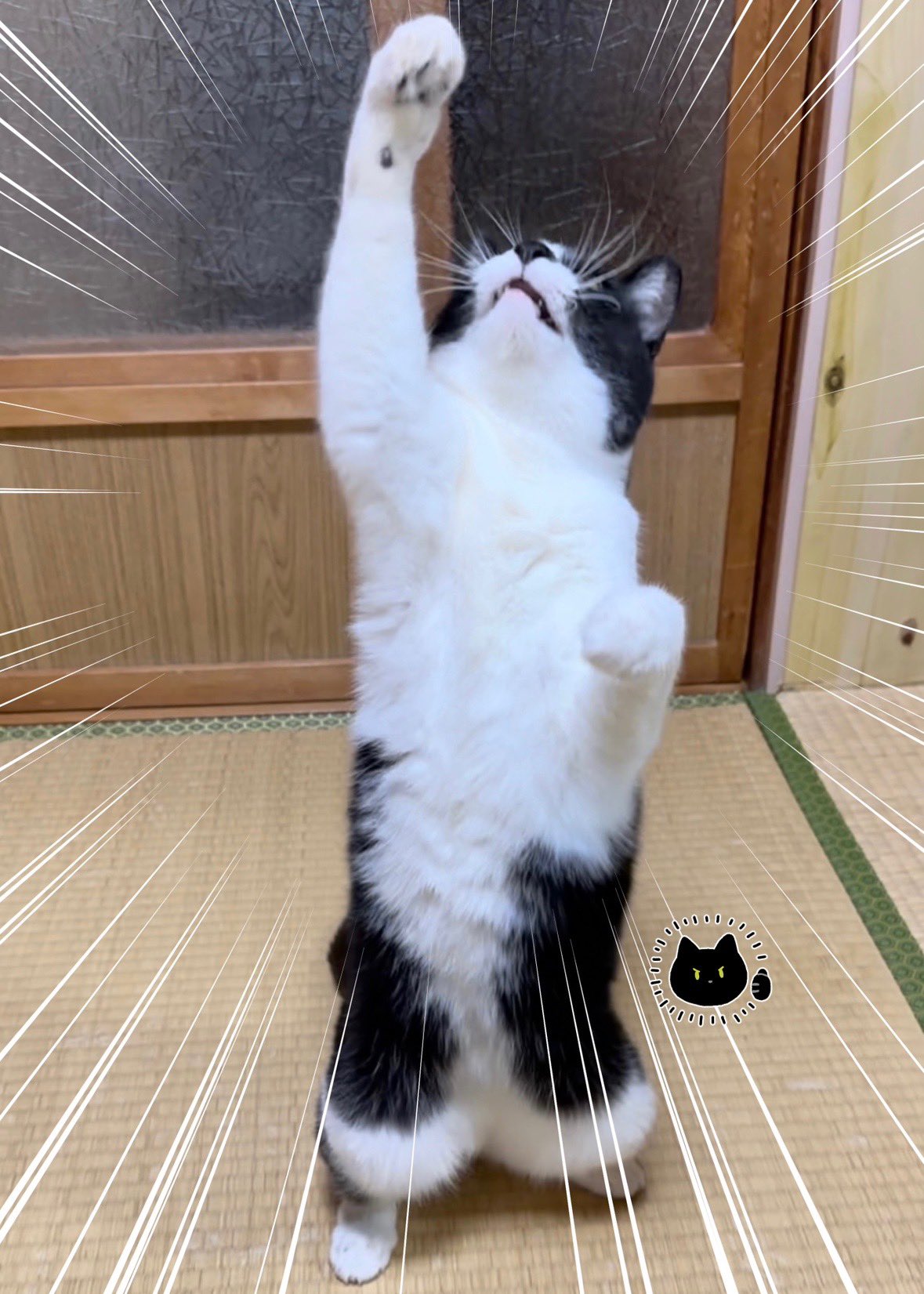 AKR｜7巻でたよ on X: 