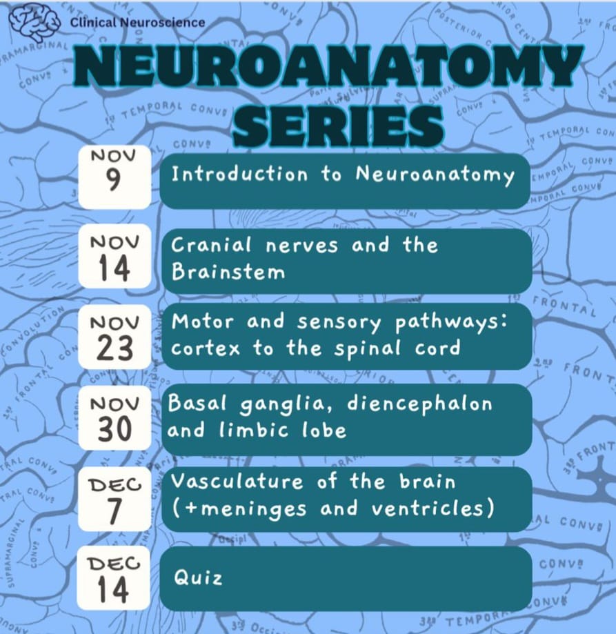 Rahul Ganguly (@rahul_ganguly1) on Twitter photo Join the St George’s, University of London Clinical Neuroscience Society <a href="/sgul_neuro/">SGUL Clinical Neuroscience Society</a> for their neuroanatomy series starting TODAY at 6pm!
Sign up for FREE using the link below to cover clinical neuroanatomy with SBA questions.
docs.google.com/forms/d/e/1FAI…
See you all soon! Join the St George’s, University of London Clinical Neuroscience Society <a href="/sgul_neuro/">SGUL Clinical Neuroscience Society</a> for their neuroanatomy series starting TODAY at 6pm!
Sign up for FREE using the link below to cover clinical neuroanatomy with SBA questions.
docs.google.com/forms/d/e/1FAI…
See you all soon!