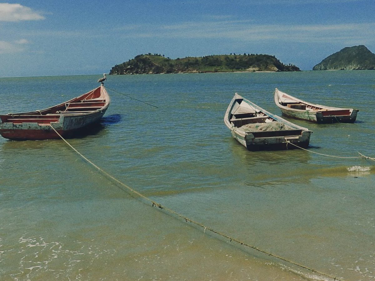 AestheticaFilmFest tweet media